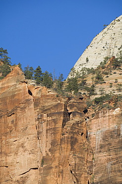 Zion National Park, Utah, United States of America, North America