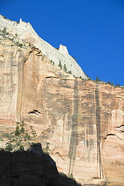 Zion National Park, Utah, United States of America, North America