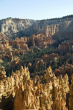 Bryce Canyon National Park, Utah, United States of America, North America