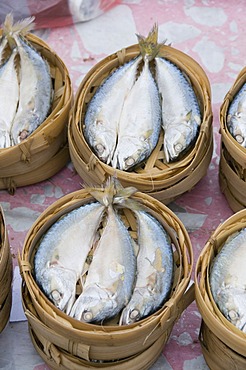 fish in market, Luang Prabang, Laos