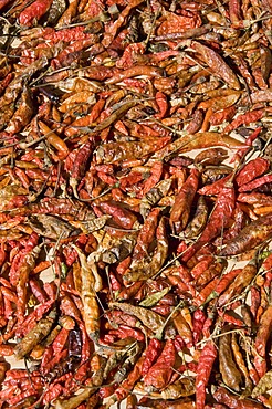 Peppers in market, Luang Prabang, Laos