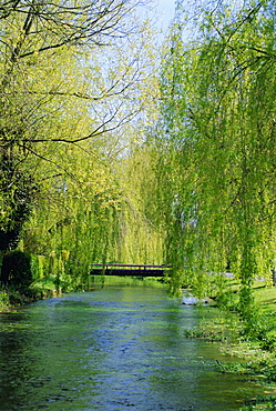 Evoissons River, Guizancourt, near Poix, Picardie (Picardy), France, Europe