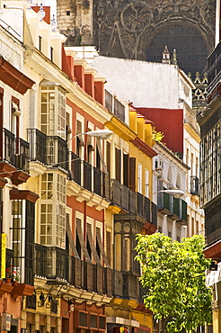 Typical Andalusian street and coloured houses, with cathedral in the background, Seville, Andalusia, Spain, Europe