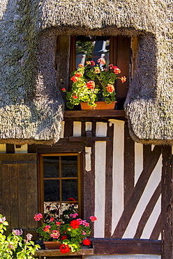 Pierrefitte en Auge, Calvados, Normandy, France, Europe