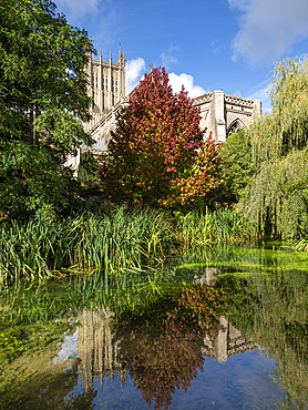 The Wells Garden, The Bishop's Palace, Wells, Somerset, England, United Kingdom, Europe