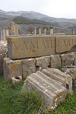 Inscriptions at the Roman site of Djemila, UNESCO World Heritage Site, Algeria, North Africa, Africa