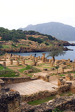 Roman site of Tipasa, UNESCO World Heritage Site, Algeria, North Africa, Africa