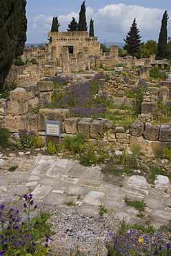 Decumanus A (Main Street A), Punic and Roman site of Utica, Tunisia, North Africa, Africa