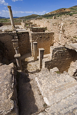 House of the New Hunt, Roman ruin of Bulla Regia, Tunisia, North Africa, Africa