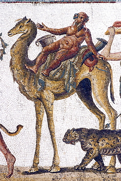 Mosaic of the (drunken?) Silenus, riding on the back of a Dromedary, Museum, El Djem, Tunisia, North Africa, Africa