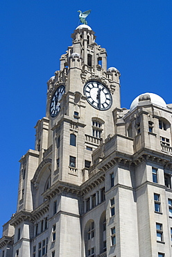 The Liver Building, one of the Three Graces, Liverpool, Merseyside, England, United Kingdom, Europe