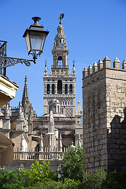 Cathedral, UNESCO World Heritage Site, Seville, Andalusia, Spain, Europe