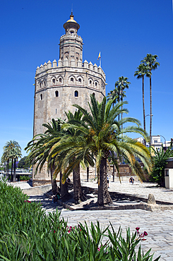 Torre del Oro, Seville, Andalusia, Spain, Europe