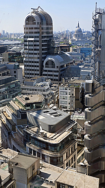 City views from the Garden at 120 Fenchurch Street