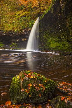 Sgwd Gwladys (Lady Falls), Afon Pyrddin, near Pontneddfechan, Brecon Beacons National Park, Powys, Wales, United Kingdom, Europe