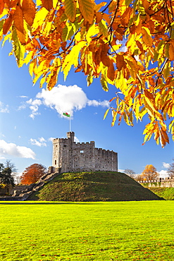 Norman Keep in autumn, Cardiff Castle, Cardiff, Wales, United Kingdom, Europe