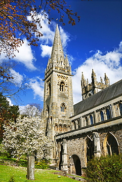 Llandaff Cathedral, Cardiff, Wales, United Kingdom, Europe