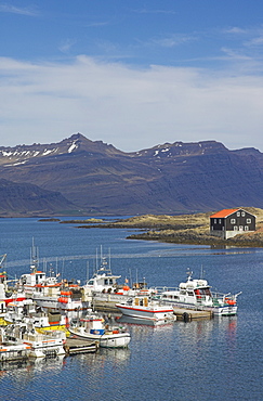 Fishing boats in Djupivogur harbour, East area, Iceland, Polar Regions