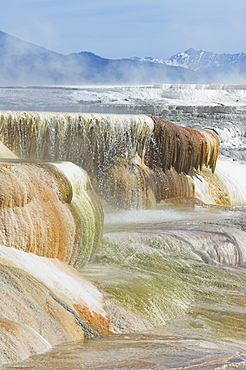 Canary Spring, Mammoth Hot Springs, Yellowstone National Park, UNESCO World Heritage Site, Wyoming, United States of America, North America