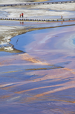 Tourists on boardwalk over the mineral runoff from Grand Prismatic Spring, Midway Geyser Basin, Yellowstone National Park, UNESCO World Heritage Site, Wyoming, United States of America, North America