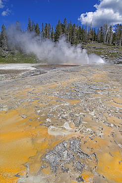 Grand Geyser erupting over sinter terrace, Upper Geyser Basin, Yellowstone National Park, UNESCO World Heritage Site, Wyoming, United States of America, North America