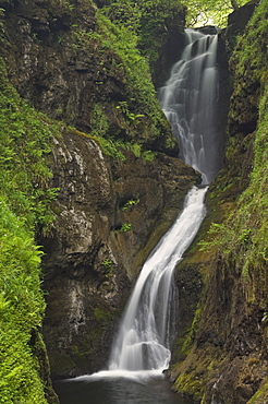 Ess-na-Larach waterfall, Glenariff Country Park near Waterfoot, County Antrim, Ulster, Northern Ireland, United Kingdom, Europe