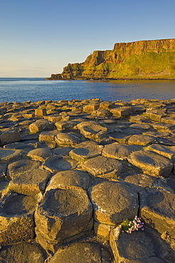 Hexagonal basalt columns of the Giant's Causeway, UNESCO World Heritage Site and Area of Special Scientific Interest, near Bushmills, County Antrim, Ulster, Northern Ireland, United Kingdom, Europe