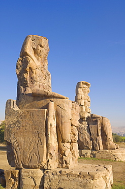 Two giant statues known as the Colossi of Memnon carved to represent the pharaoh Amenhotep III of the dynasty XVIII, West bank of the River Nile,Thebes, UNESCO World Heritage Site, Egypt, North Africa, Africa