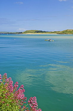 River Camel estuary, North Cornwall, England, United Kingdom