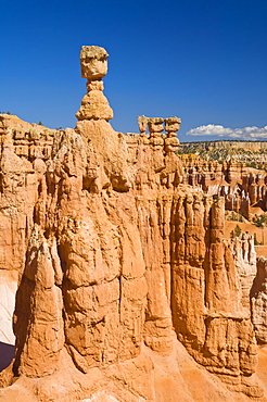 Thor's Hammer, an iconic hoodoo on the Navajo trail, a hiking trail through Bryce Amphitheater, Bryce Canyon National Park, Utah, United States of America, North America