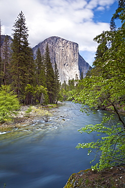 El Capitan, a 3000 feet granite monolith, with the Merced River flowing through Yosemite Valley, Yosemite National Park, UNESCO World Heritage Site, Sierra Nevada, California, United States of America, North America