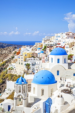 Greek church with three blue domes in the village of Oia, Santorini (Thira), Cyclades Islands, Greek Islands, Greece, Europe