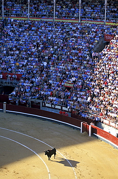 Spain, Madrid, Plaza De Toros, Six Toros Corrida With Matador Julian Lopez El Juli Hold On May 27th 2003 (San Isdro Feria)