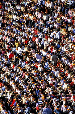 Spain, Madrid, Plaza De Toros, Six Toros Corrida With Matador Julian Lopez El Juli Hold On May 27th 2003 (San Isdro Feria)