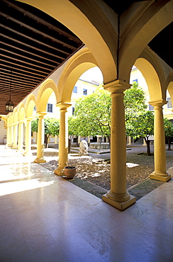 Spain, Andaloucia, Cordoba, Museo Diocesano De Bellas Artes (Religious Artifacts), The Patio