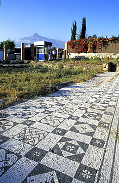 Spain, Andaloucia, Costa-Del-Sol, Marbella, Ruins Of A Roman Villa, The Floor Mosaics