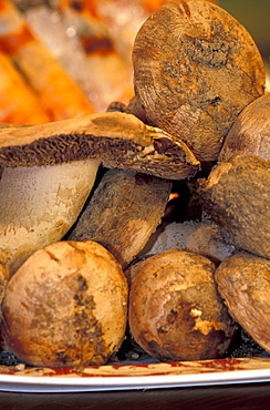 Spain, Andaloucia, Sevilla, Restaurant Casa Robles, Mushrooms Gurumelos