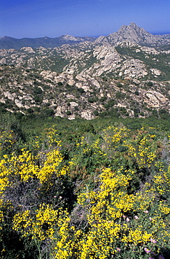 France, Corsica Island, Haute-Corse, Agriates Desert