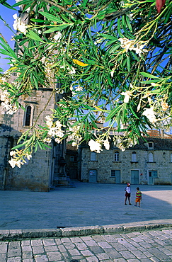 Croatia, Dalmatia, Dalmatian Coast, Hvar Island, 