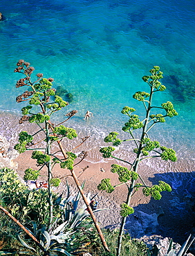 Croatia, Dalmatia, Dalmatian Coast, City Of Dubrovnik, Overhead View On The Beach