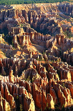 Usa, South West, Utah, Bryce Canyon National Park, Elevated View Of Rocks, Landscape At Sunrise