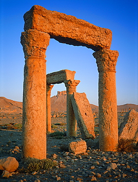 Syria, Palmyra Oasis, The Roman Ruins, Remnants Of The 1200m Colonnade Edging The Cardo (Main Road In The Roman City Center) 