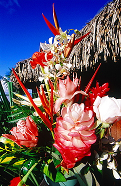 French Polynesia, Tropical Flowers