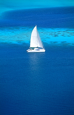 French Polynesia, Leeward Islands, Borabora Lagoon, Sailing Boats Heading On, Aerial