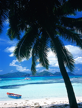 Seychelles, La Digue Island, The Lagoon And Palm