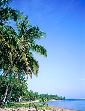 Dominican Republic, Las Terranas, Empty Beach