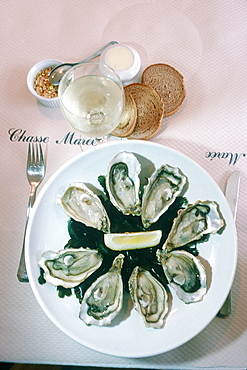 France, Normandy, Oysers Plate And Glass Of White Wine