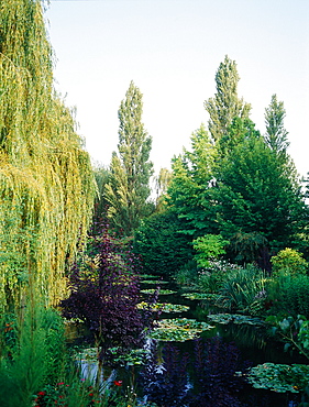 France, Normandy, Eure (27), Giverny, The Nympheas In Painter Monets House And Gardens