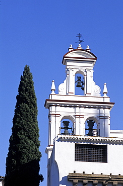 Spain, Andaloucia, Sevilla, Belfry & Cypress On Plaza Dona Elvira