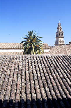 Spain, Andaloucia, Cordoba, View On The Roofs, At Rear The Cathedral Belfry